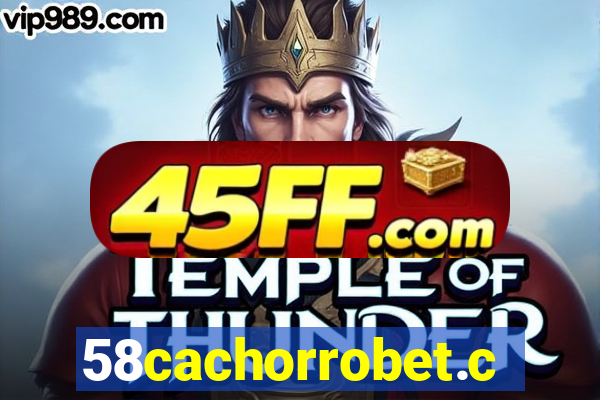 58cachorrobet.com