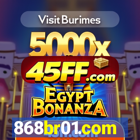 868br01.com