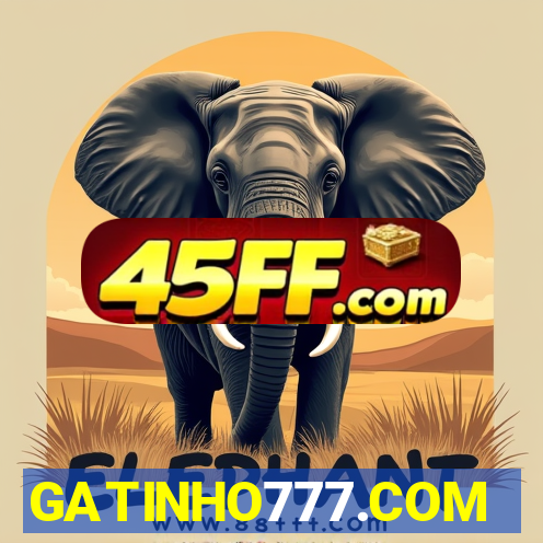 GATINHO777.COM