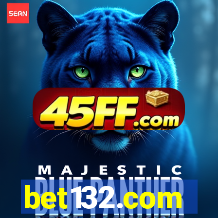 bet132.com