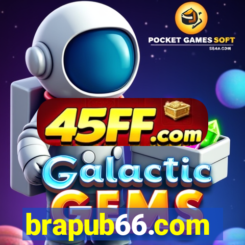 brapub66.com