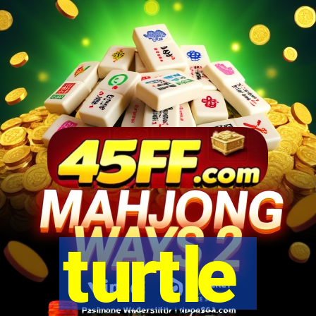 turtle-ty.com