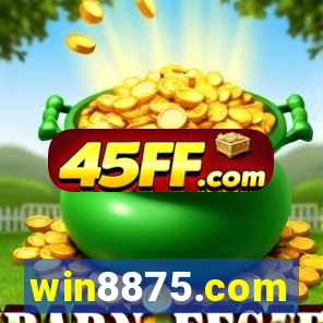 win8875.com