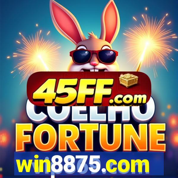 win8875.com