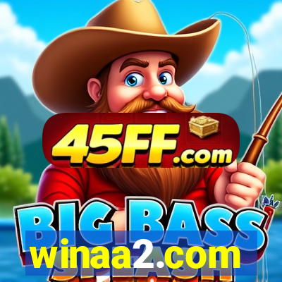 winaa2.com