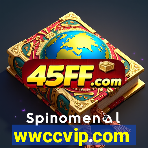 wwccvip.com