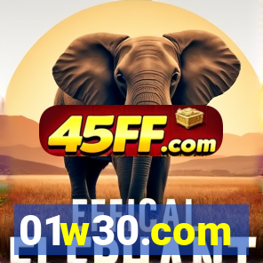 01w30.com