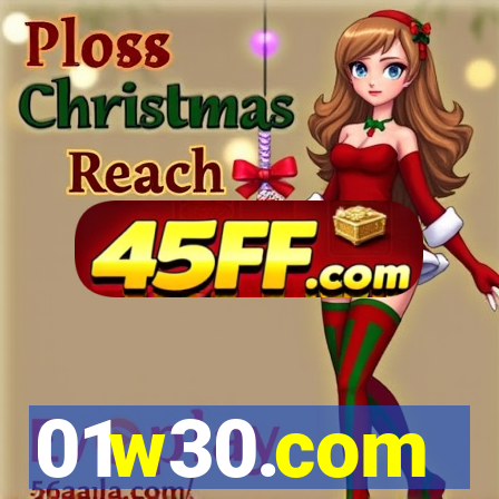 01w30.com
