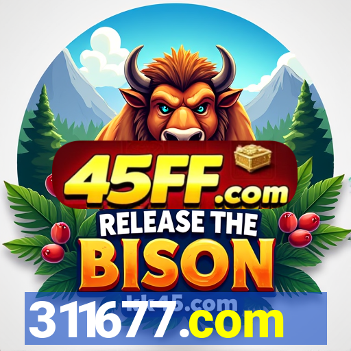 311677.com