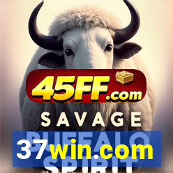37win.com