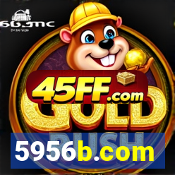5956b.com