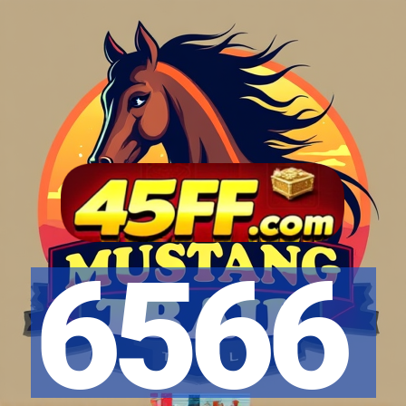 6566