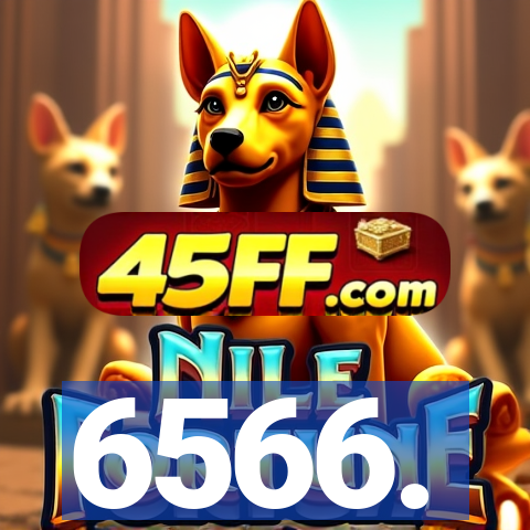 6566.