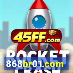 868br01.com