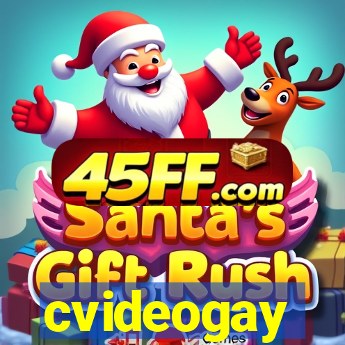 cvideogay
