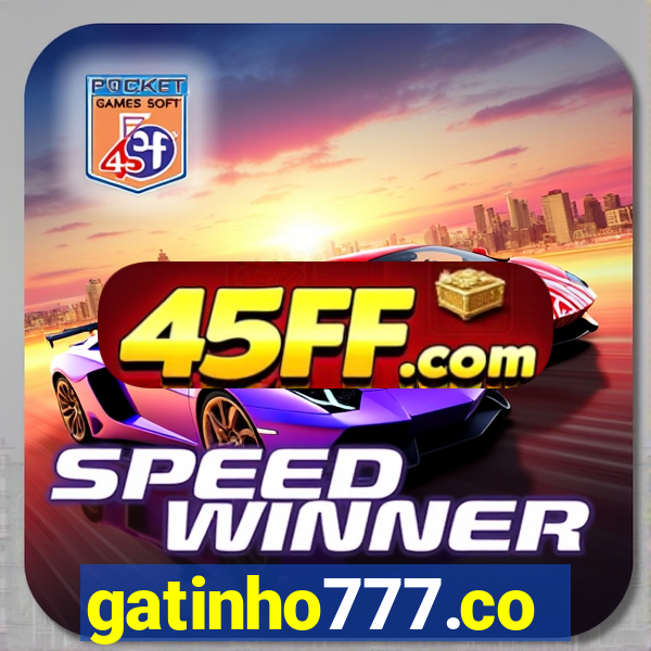 gatinho777.co