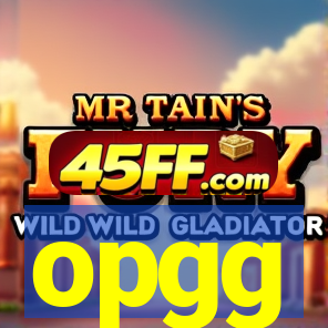 opgg