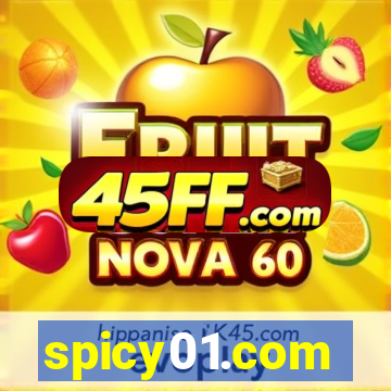 spicy01.com