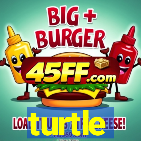 turtle-ty.com