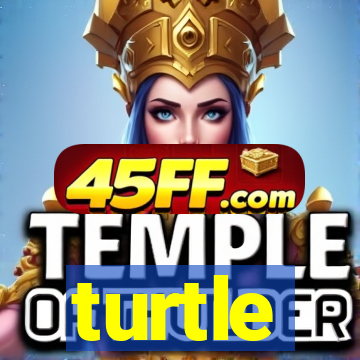 turtle-ty.com