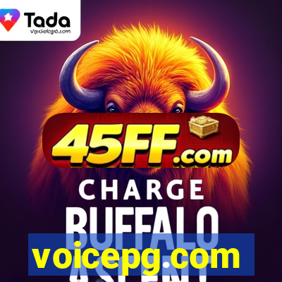 voicepg.com
