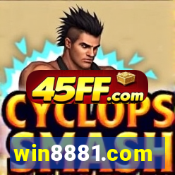 win8881.com